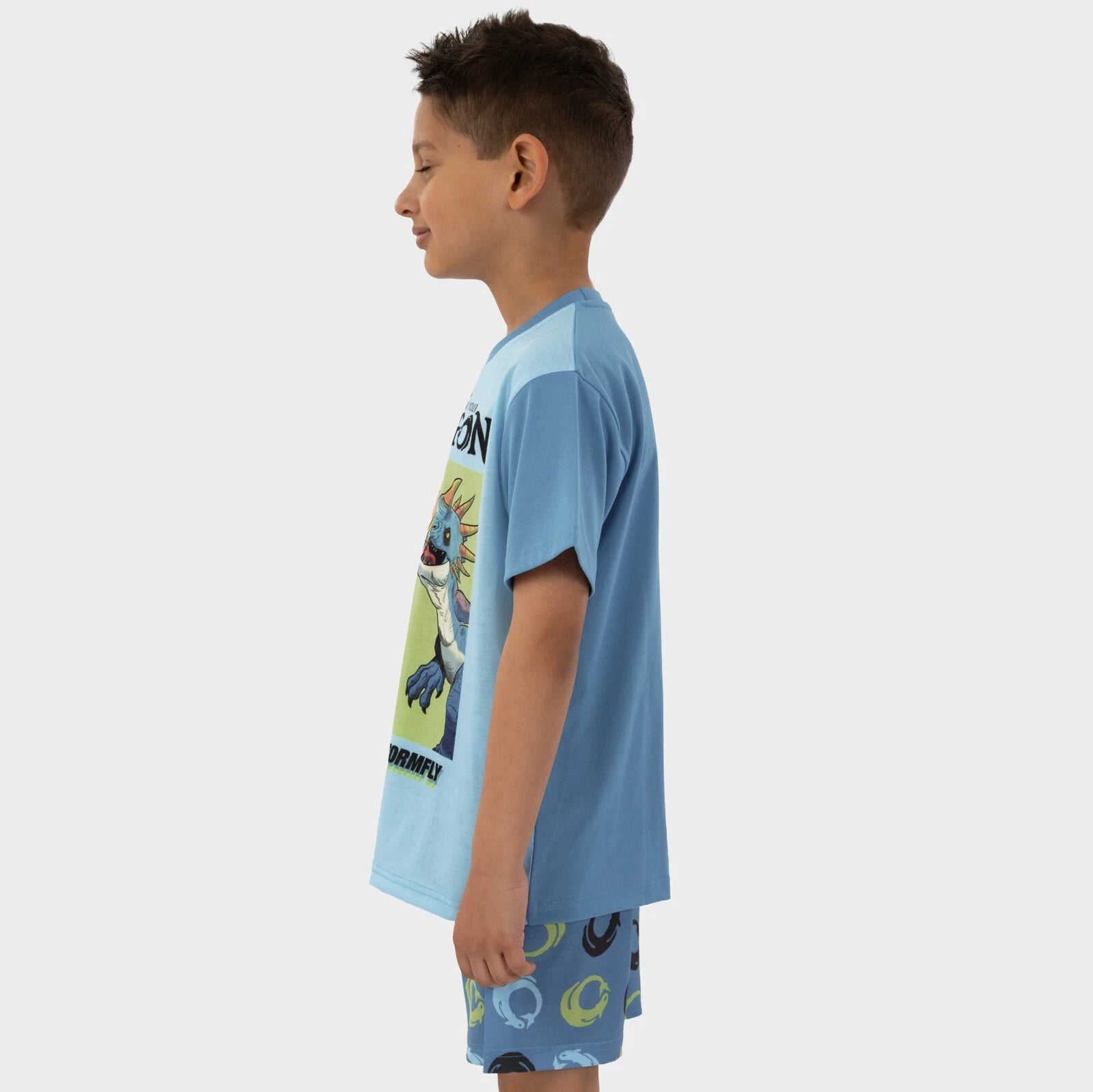 How To Train Your Dragon Pyjamas | Boys Toothless Short Pyjamas | Boys Pjs